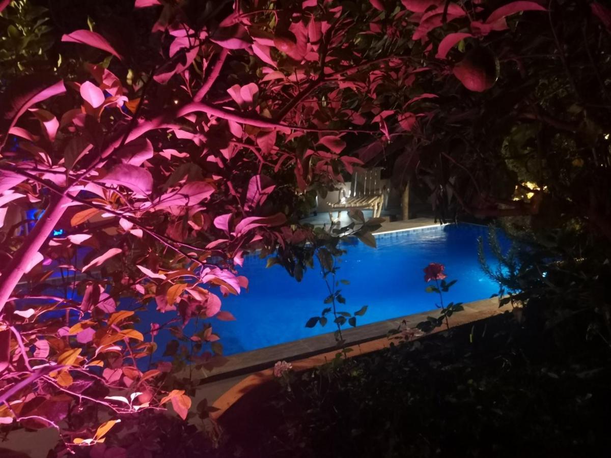 Riad Avec Terrasse Privee Et Piscine Partagee A 300M Fès Dış mekan fotoğraf